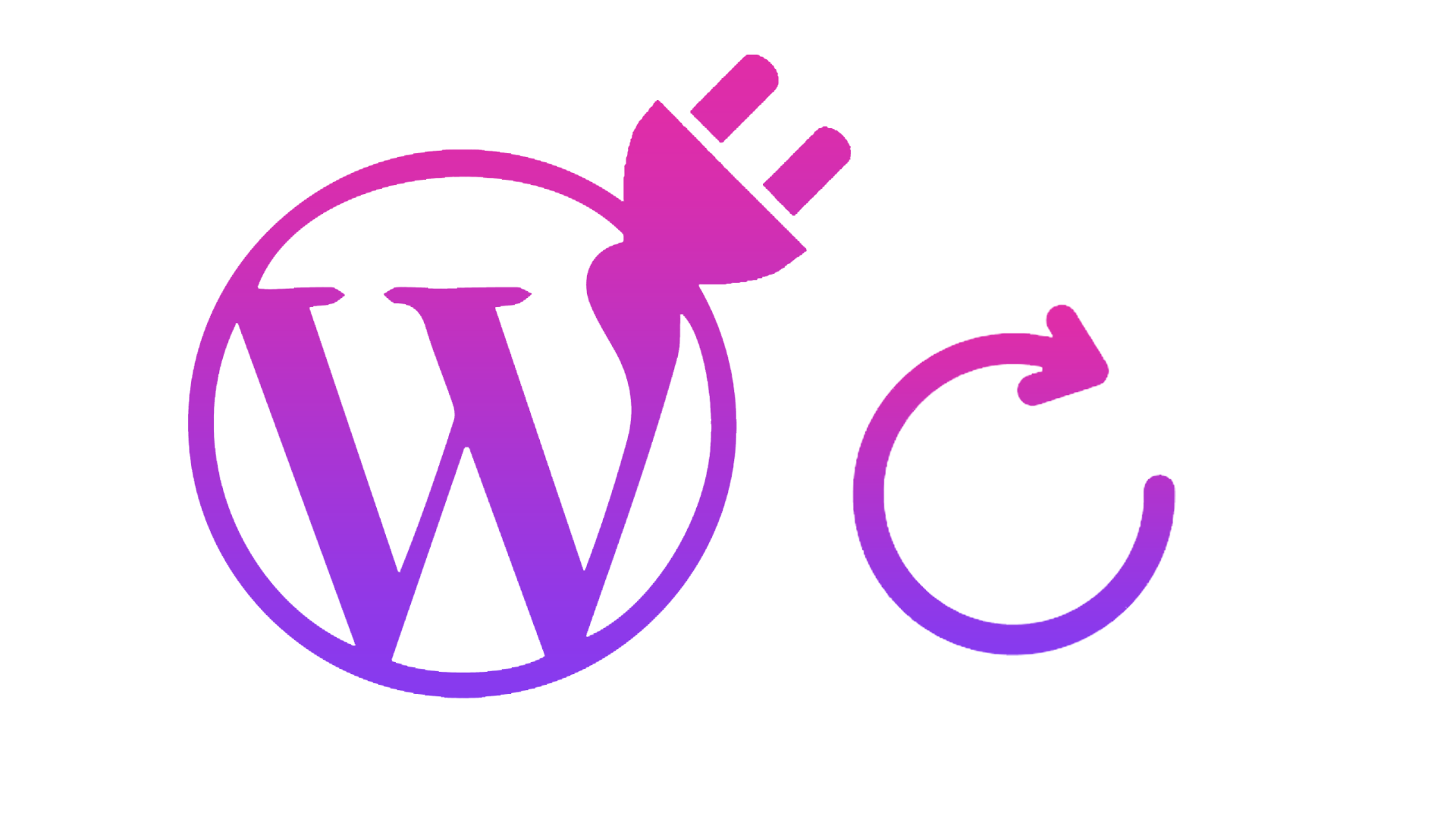 How To Manually Update Your Theme and Plugin